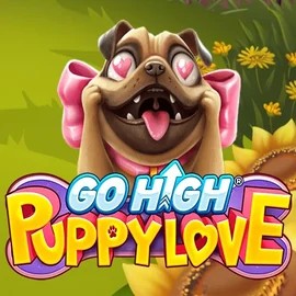 Go High Puppy Love slot logo by RubyPlay at Kaktuz Casino